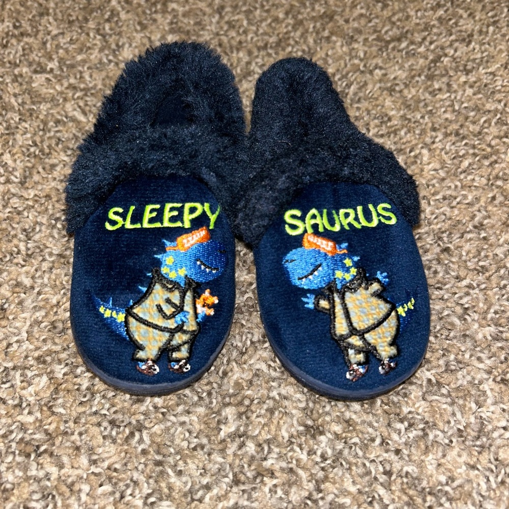Boys Sleepysaurus Slippers 5/6